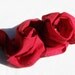 2pk - 100% Reusable Cotton Cloth Napkins - Reds Fury