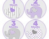 Monthly Onesie Baby Stickers - Kellie - Gray and Purple Polka Dots and Striped Elephants - Baby Month Stickers