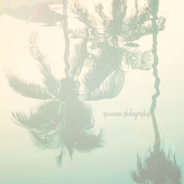Palm Tree Photography Print - Palm Reflections - Turquoise Water Tropical Palm Tree Reflection Dreamy Photo (8x10)
