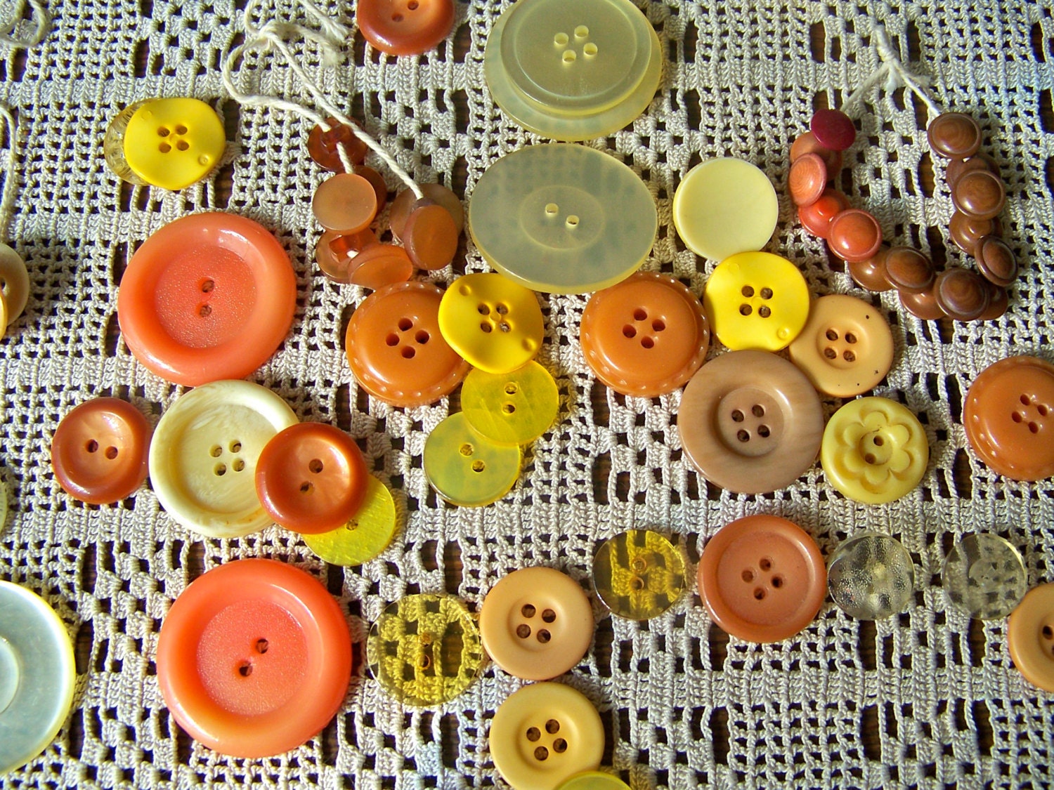 Vintage Button Collection