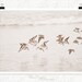 Oregon coast photo, sanderlings, birds in flight, beach photography, nature decor