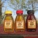 Raw Honey Sampler - Tulip Poplar, Summer, and Fall Honey - Three 8 ounce bottles