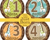 13 Monthly Onesie Stickers FREE Hello Just Born - GIRAFFES for baby Boy or Girl (Neutral colors) Green.Orange.Light Brown.Turquoise