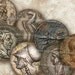 Ancient Coins Money From Antiquity Old Greek Roman 1 inch Circles One Rounds Jewelry Bezels Magnets Pendants Decoupage Collage Sheet 293