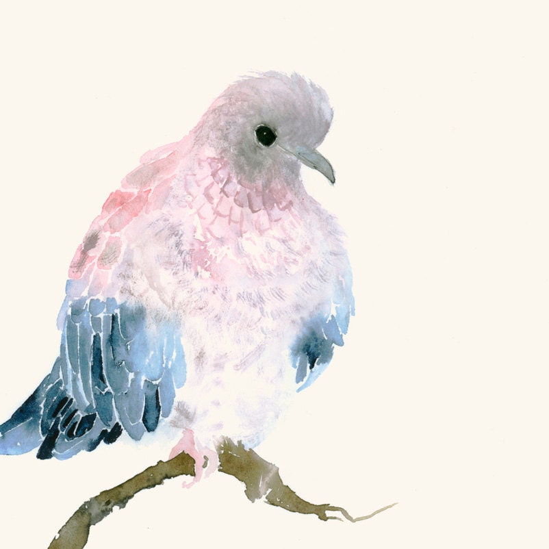 Original Watercolor of a Dove