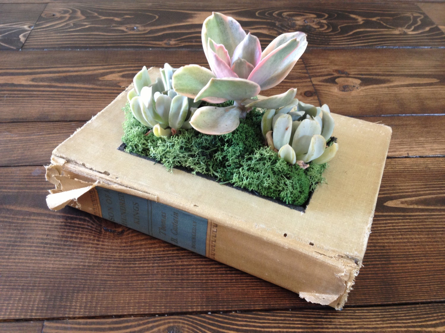Upcycled Book Planter for Succulents or Flowers