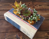 Large Upcycled Vintage Book Planter for Succulents or Flowers