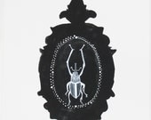 Specimen No.1 Original Gouache & Watercolor Art