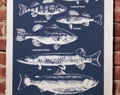 Fresh Water Fish Print Navy Blue