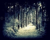 LAKE GEORGE TRAIL - 8x10 Signed Archival original photography by Colene