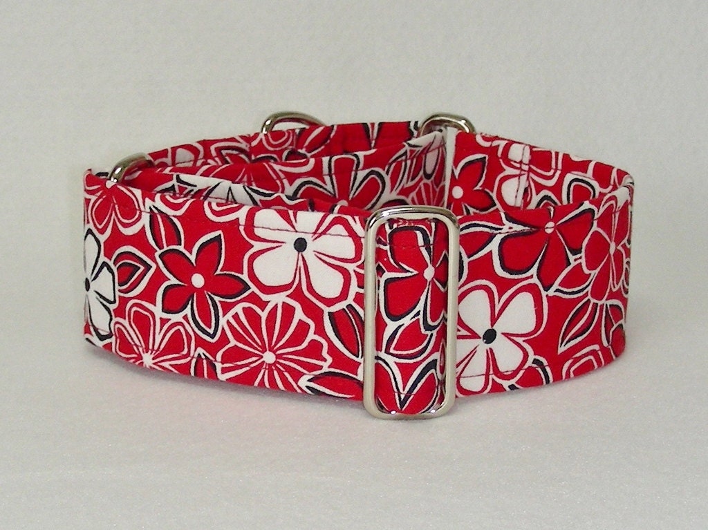2 Inch Martingale, Greyhound Collar, Red and White Floral