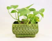 Mid Century Planter EVERGREEN DOTS Geometric
