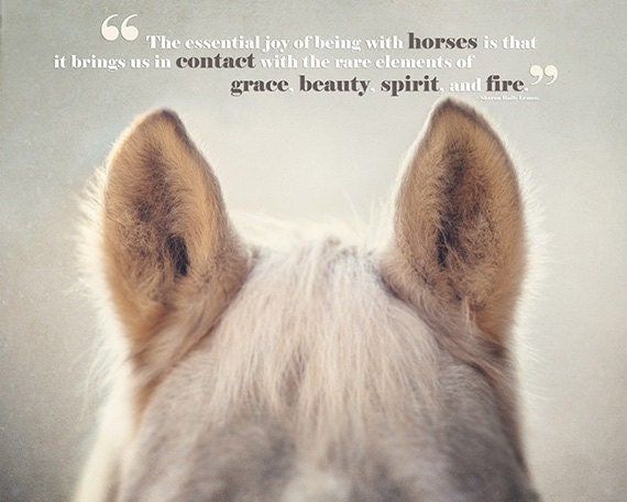 Horse Art, Horse Photography, Horse Quotes, Joy of Horses, Horse Ears, Typography, Text, Type, Horse Quotation, Beige, Tan, Cream.