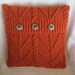 Branching Out cable knit 18x18 pillow cover