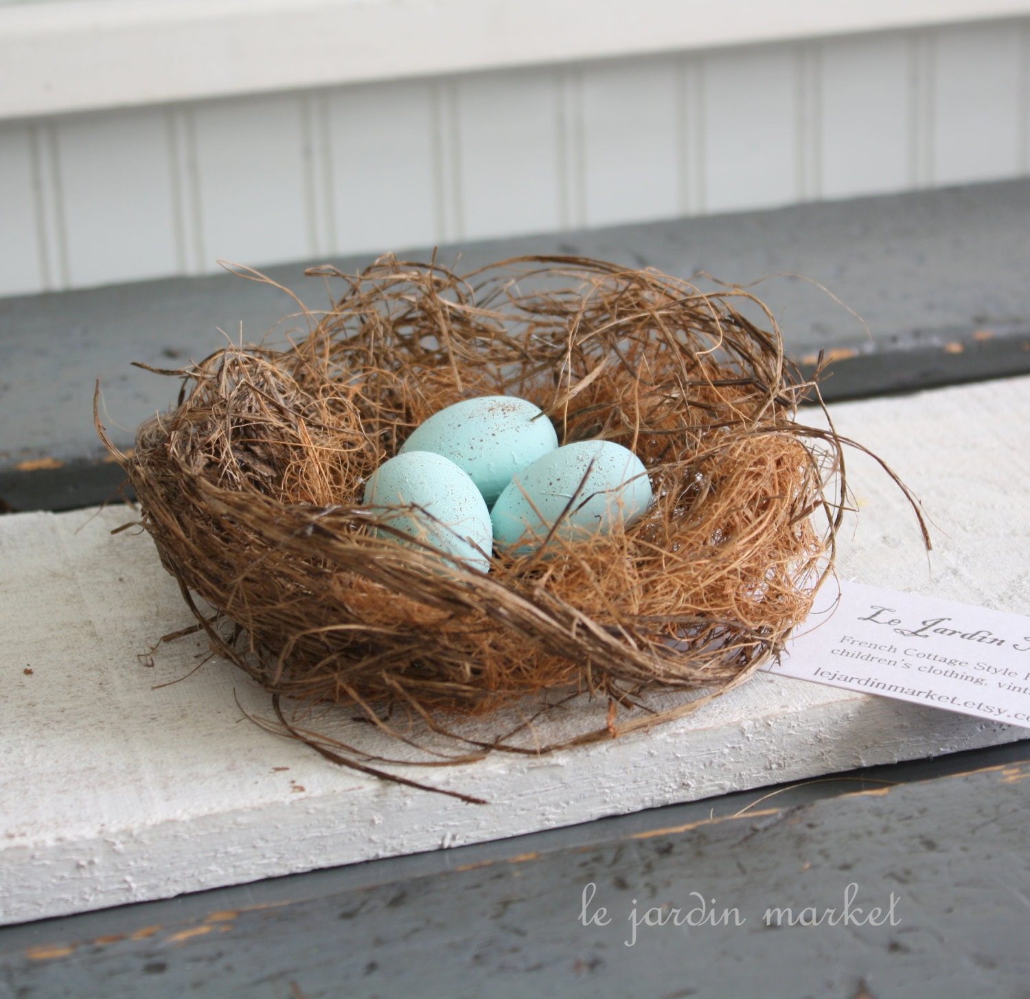 Birds nest