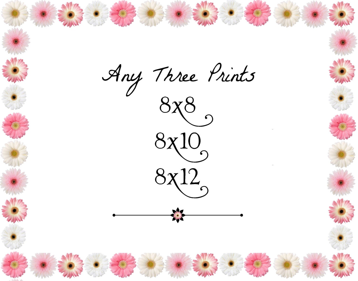 Photography Prints, Discounted Set of 3 Three, 8x8, 8x10, 8x12 Nursery Wall Art, 8x8 Prints 8x10 Prints 8x12 Prints, Flowers, Ducks, Kittens