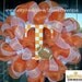 Deco Mesh Tennessee Fan Wreath