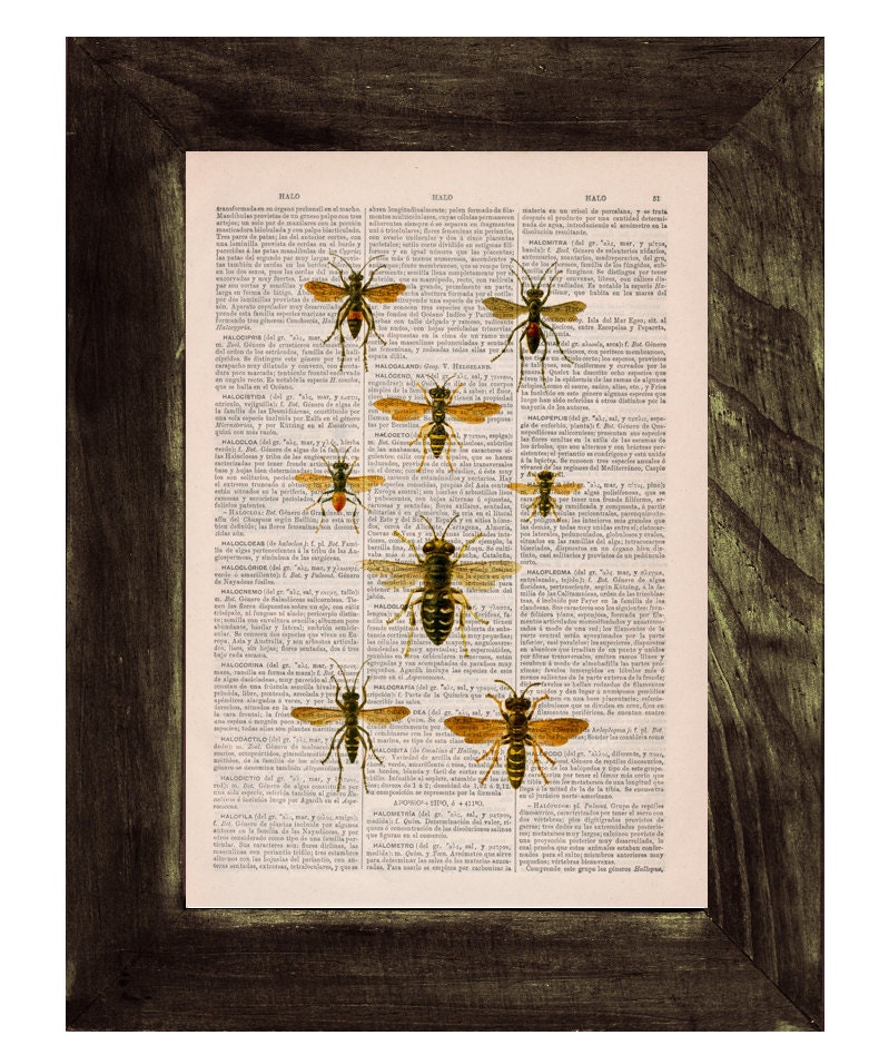 Queen bee Print on Dictionary Book - Butterfly Art on Upcycled Dictionary Book - Wall Art Home Decor