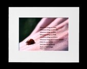 Ladybug on Hand