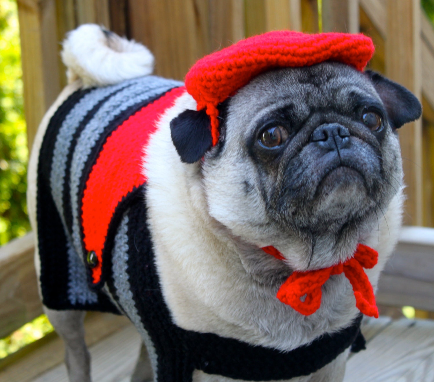 Mon Cheri Amour- Dog Sweater and Beret/ Ready to Ship