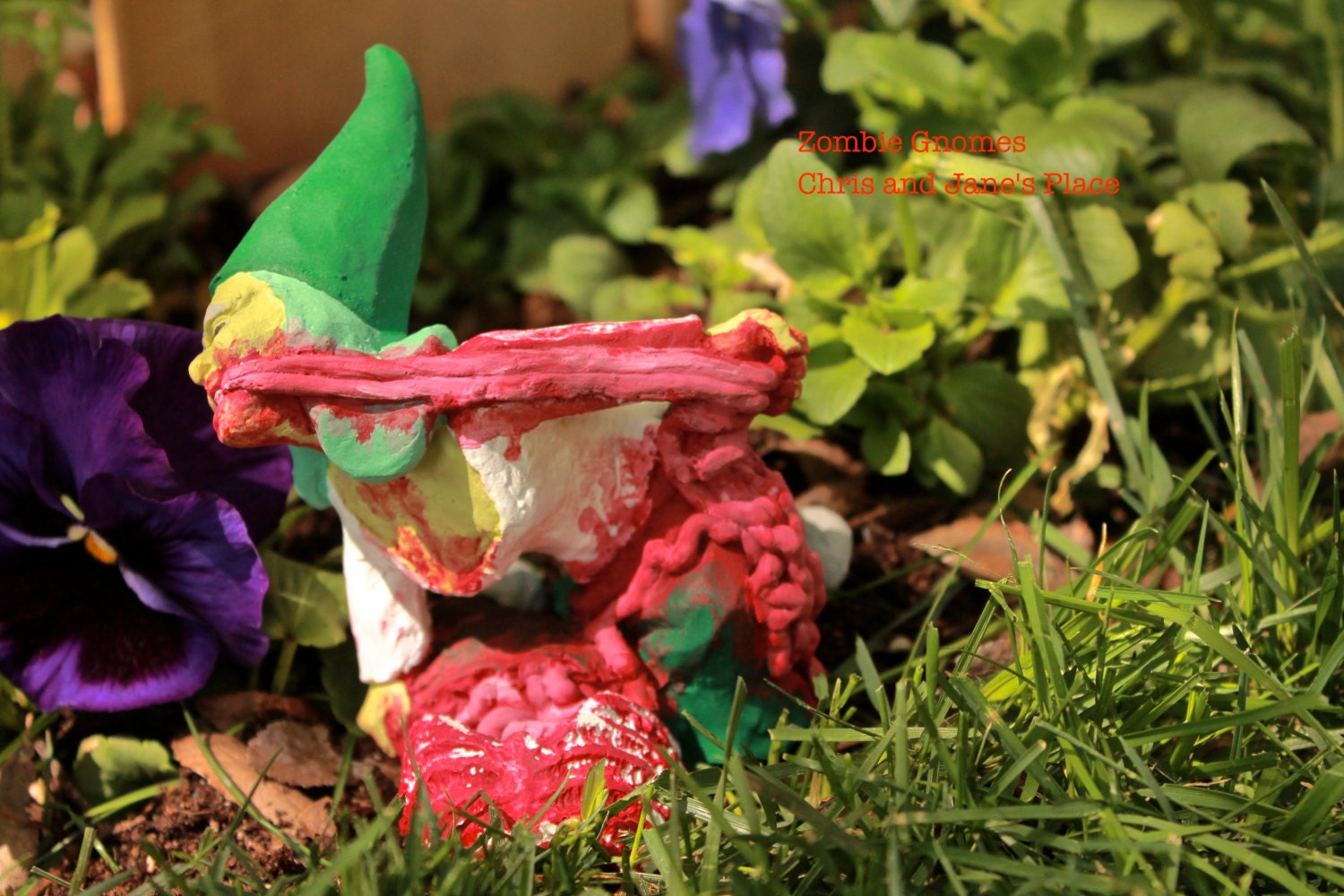 Zombie Gnomes: Gertrude Guts FREE USA SHIPPING