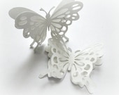 Snow White Butterflies, Shabby Chic