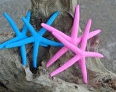 Nautical Gender Reveal Party Starfish Decor, Baby Shower Decorations, Bridal Shower Decorating, Bachelorette Party, 4