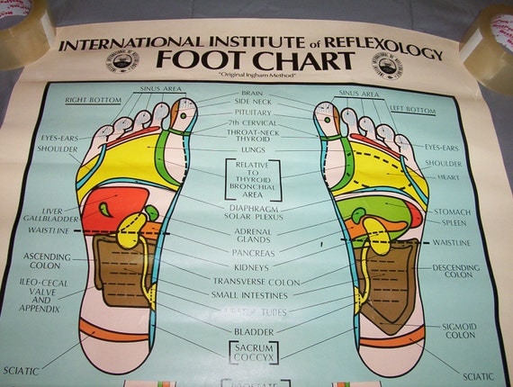Vintage International Institute Of Reflexology Foot By Ozarksfinds