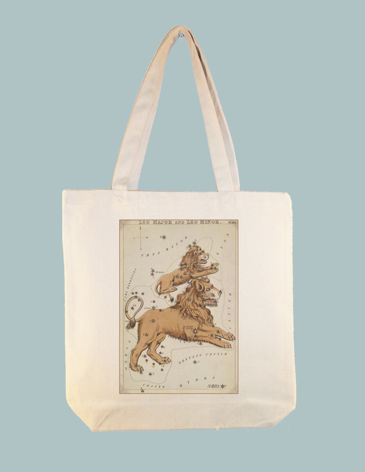 Leo Astrological Sign Vintage Star Chart Illustration 15x15 Tote -- other tote sizes available