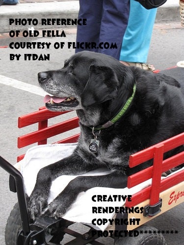 got there fine ( a best friend's song ) senior dog love