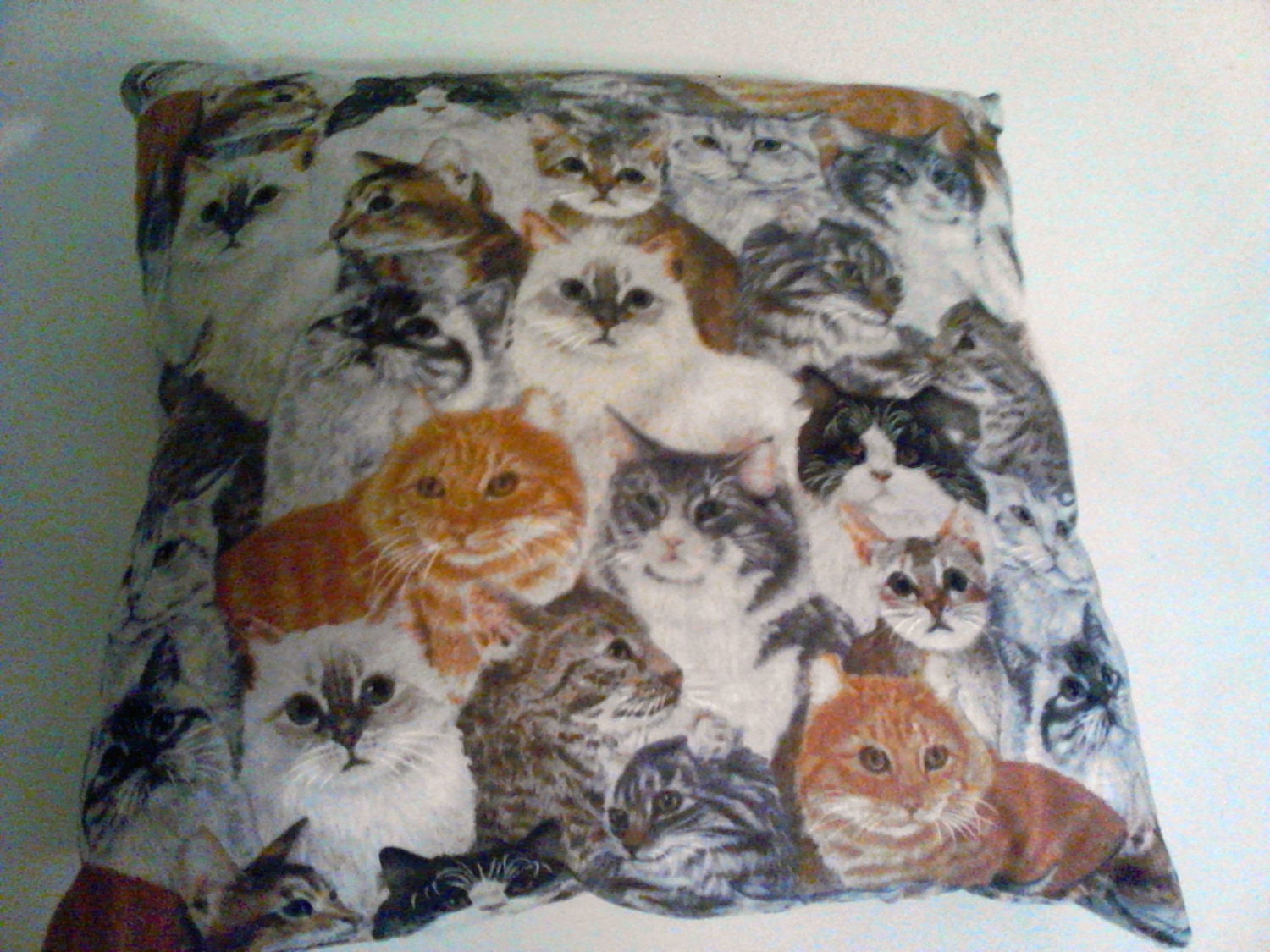 Crazy Cat Lady Pillow