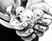 Chickens, Art Print, 8x10", Pencil, Drawing, Animal, Black, White, Grey, Feather, Birds, Hands, Face, Farm Animals, Gift, Men