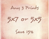 DISCOUNT SET - Any 3 Prints - Three 5x7 or 5x5 Photographs of Your Choice - Save 15%