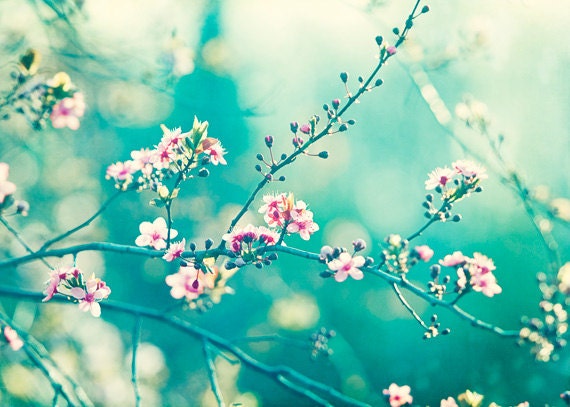 5x7 Teal Photography - flowers aqua turquoise print pink - nature floral branches wall art - colorful photograph, "A Piece of My Soul"