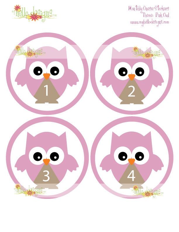 Monthly Onesie Sticker: Owl (FREE JUSTBORN STICKER)