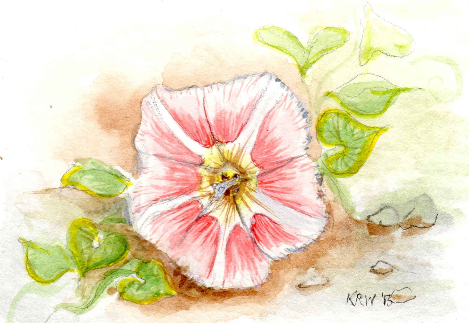 ACEO - Matted Original Watercolor Collectible - Beach Morning Glory