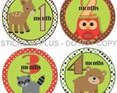 SALE Baby Boy or Girl Monthly Onesie Stickers Woodland Forest Animals Deer Bear Raccoon Owl 1-12 Months PLUS Just Born - Gift