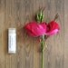Watermelon Lip Balm - Beeswax, Cocoa Butter, Almond Oil