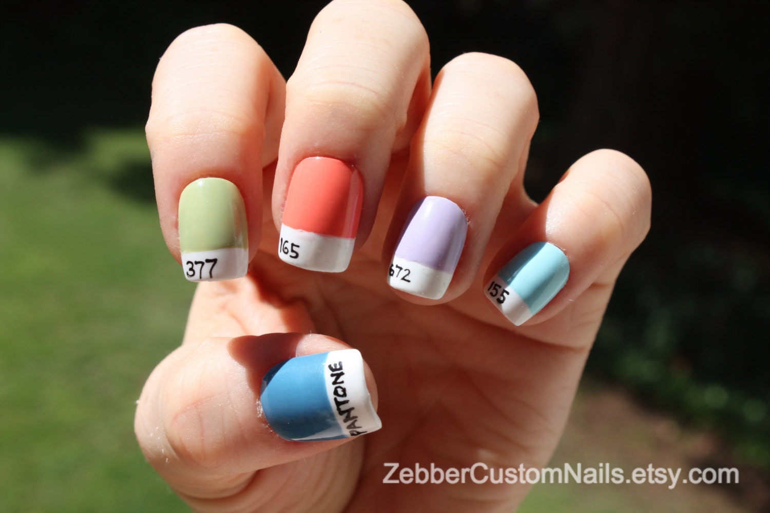Pantone Paint Swatches - Set of 12 False Nails - Reduced Price