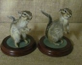 Taxidermy Chipmunk Rodent Mounted Taxidermy