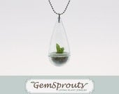 Living Plant Gemsprout Prickly Pear Necklace with Ballchain