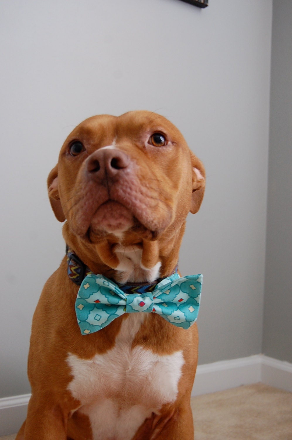 Quatrefoil Bow Tie
