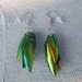 Custom Listing of RARE Gold Beetle Wing Earrings - 2 pairs of earrings