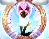 The Enlightenment - Buddha Cat Art 8x12 Print