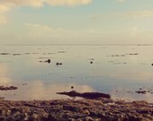 The Lulls I - Ocean Photography 5x7
