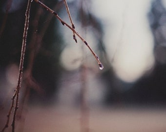 Water - Photography Print 5x7