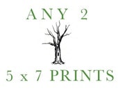 Pick any Two 5 x 7 Prints