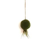 Hanging Container For Kolbii Air Plant - Sage Green