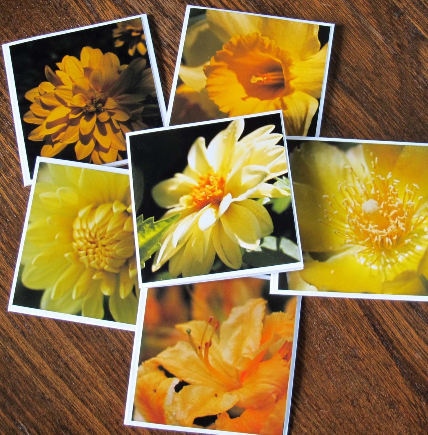 Yellow flower mini photo cards (set of 6) / Orange flowers / Autumn leaves / Hoar frost