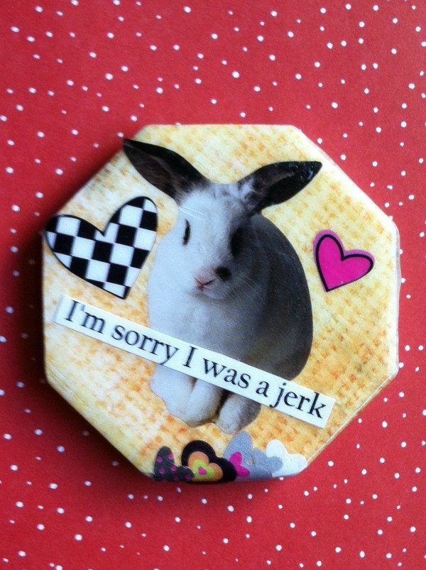 I'm Sorry I Was a Jerk (Bunny) Magnet